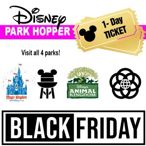 Disney's 1 Day Park Hopper