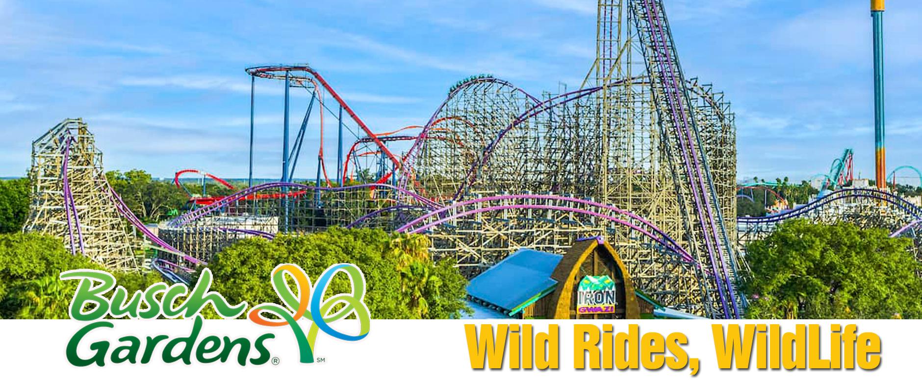 BGT-LandingPage-Header